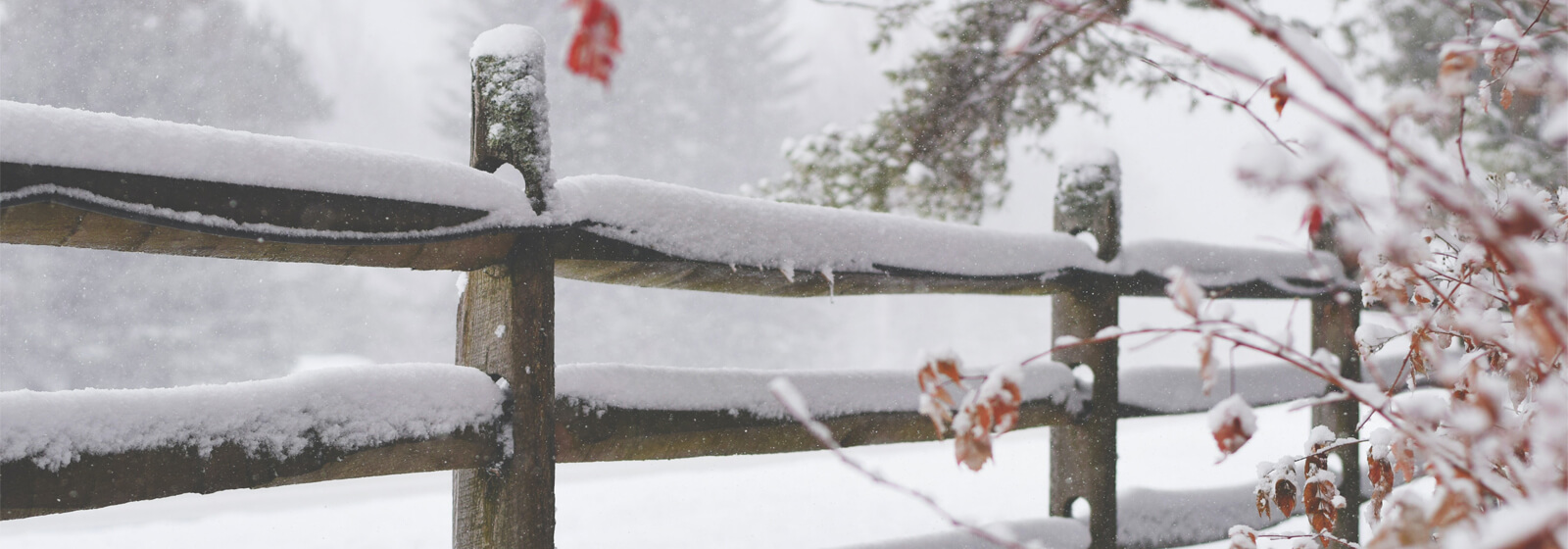 Banner 1 image slide