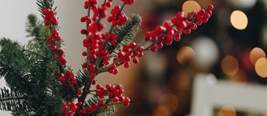 Christmas image slide